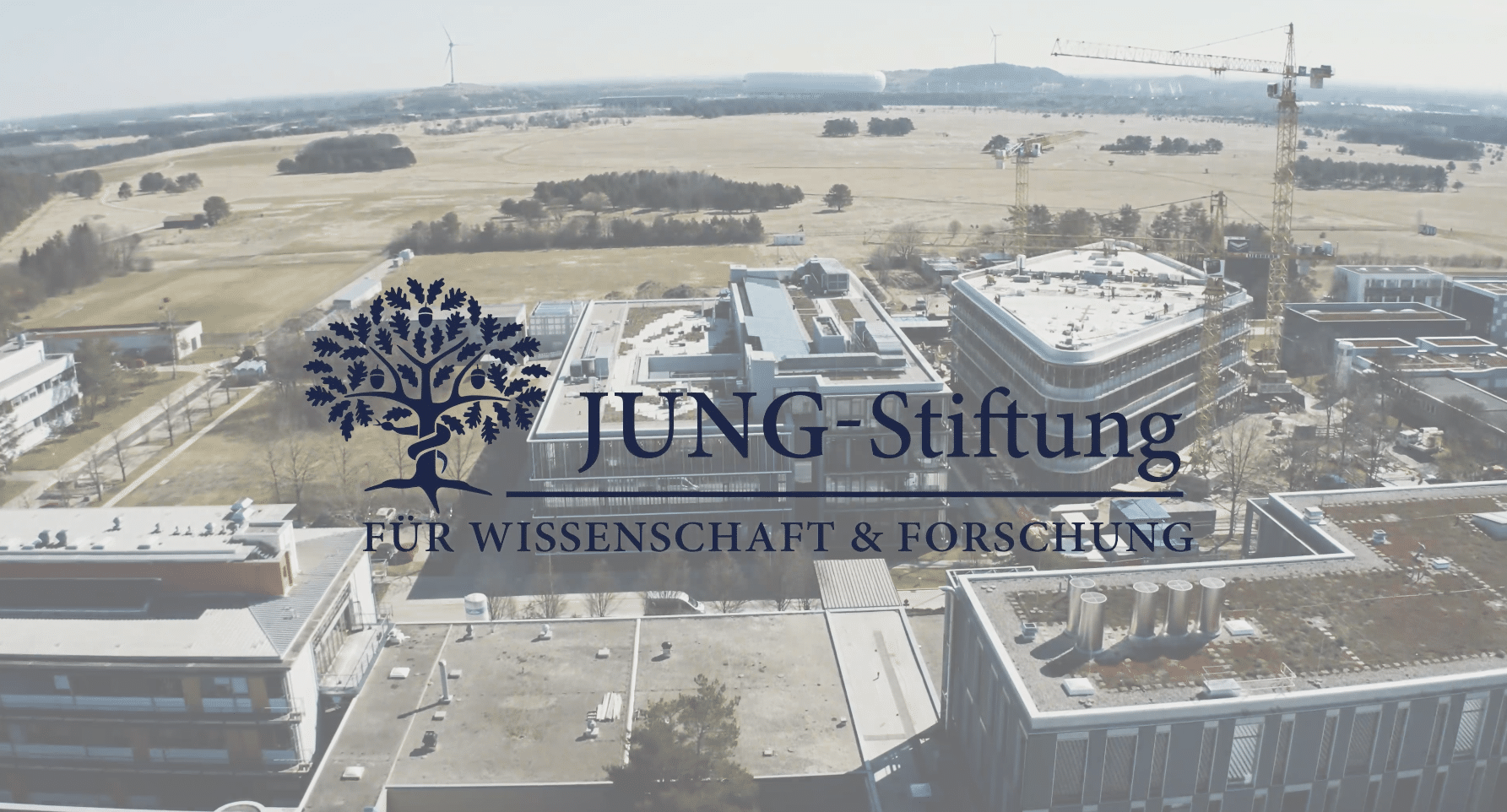 collective brain jung stiftung case