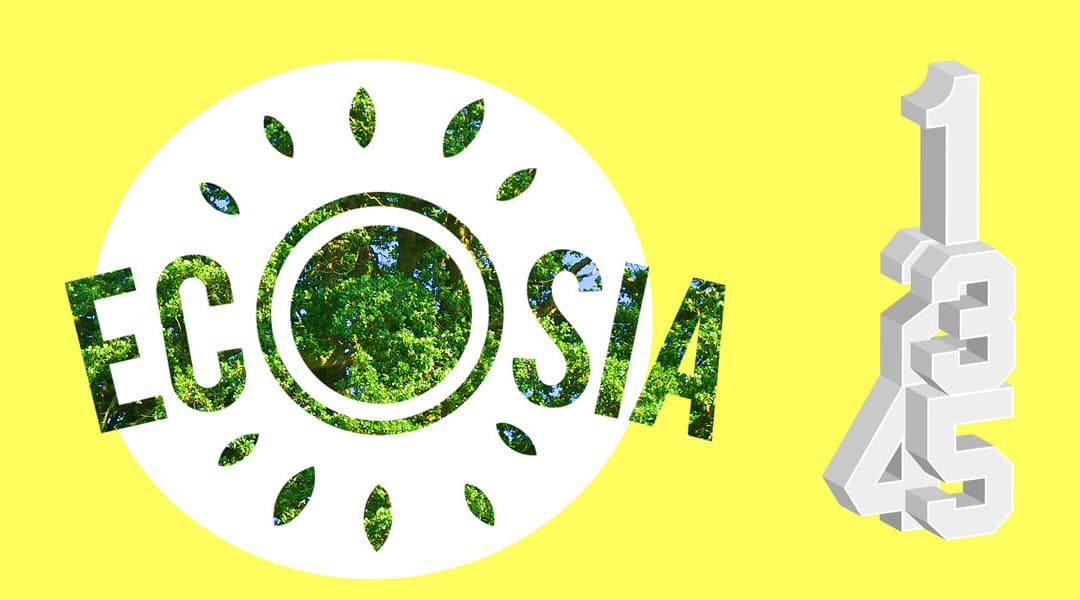 Wie kann ich auf Ecosia Werbung schalten? Anleitung in 5 Schritten.